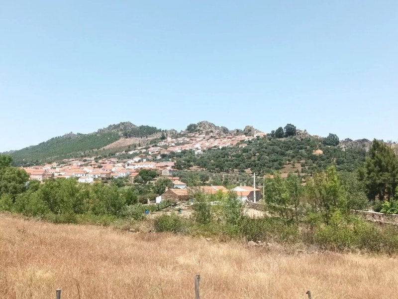 Restaurante O Javali