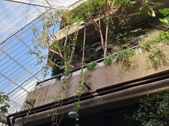 Barbican Conservatory