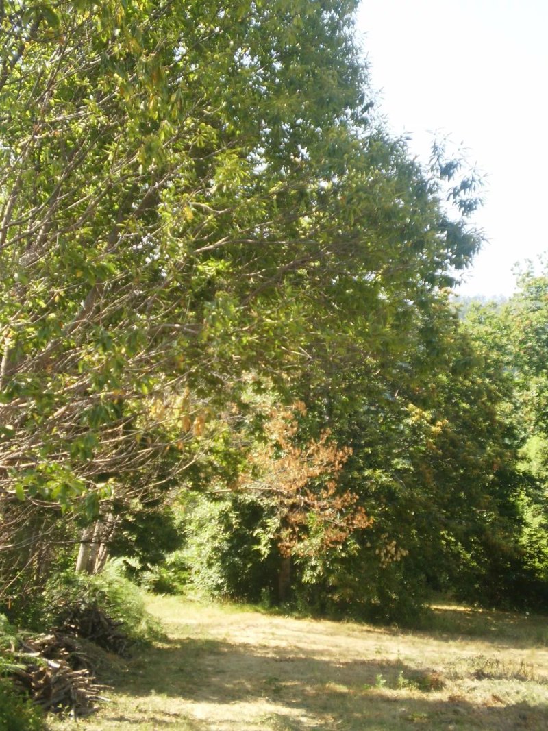 Agriturismo Agrilupi Barone