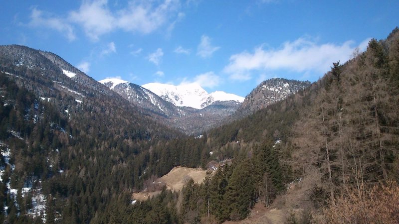 Gasthof Hanserhof