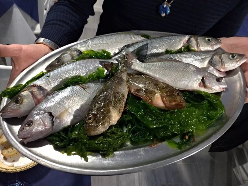 Trattoria Bolina La Taverna di Max O Sub