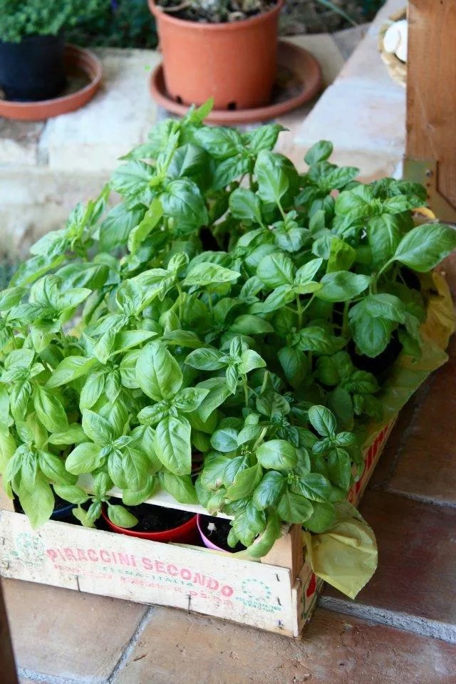 Pietra Maula Agriturismo