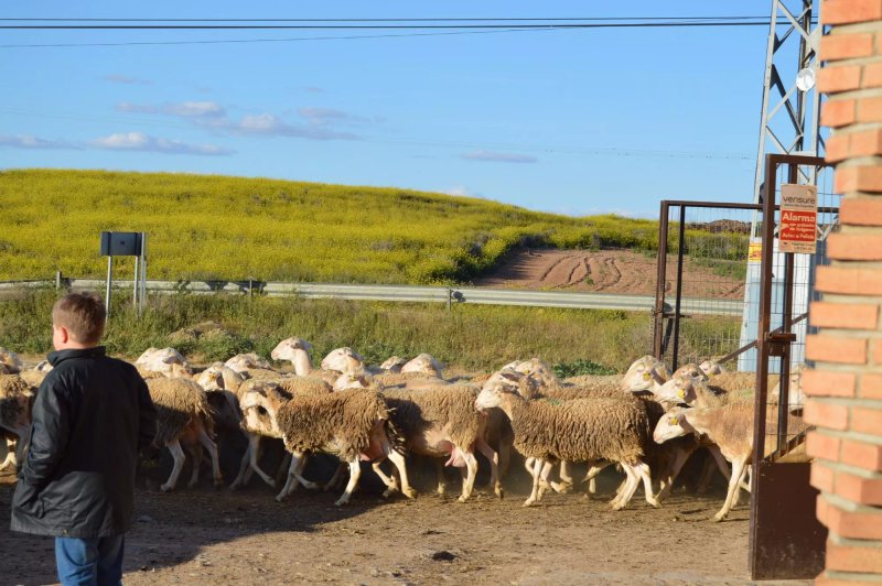 Complejo Retiro de la Mancha