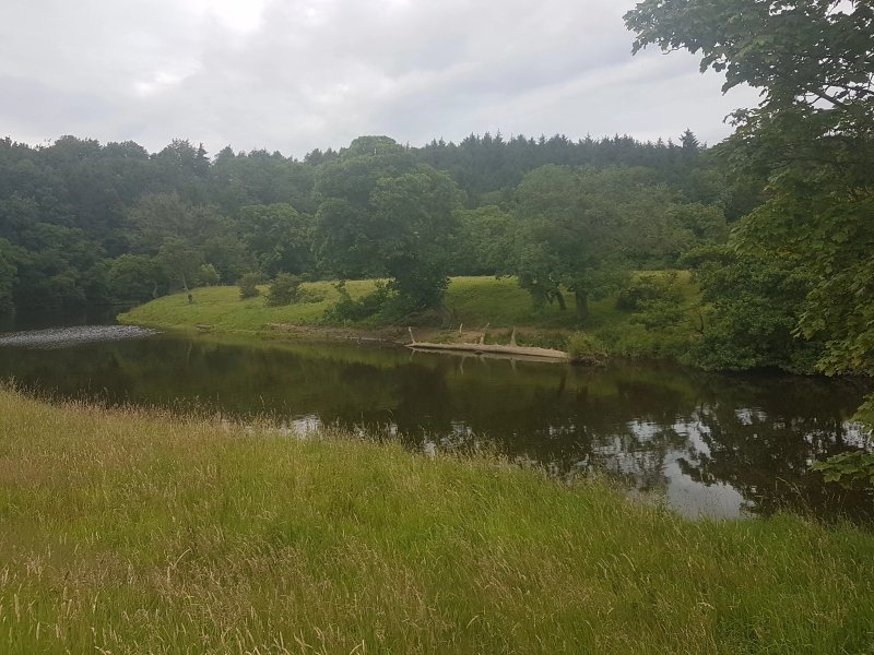 Walkmill Campsite
