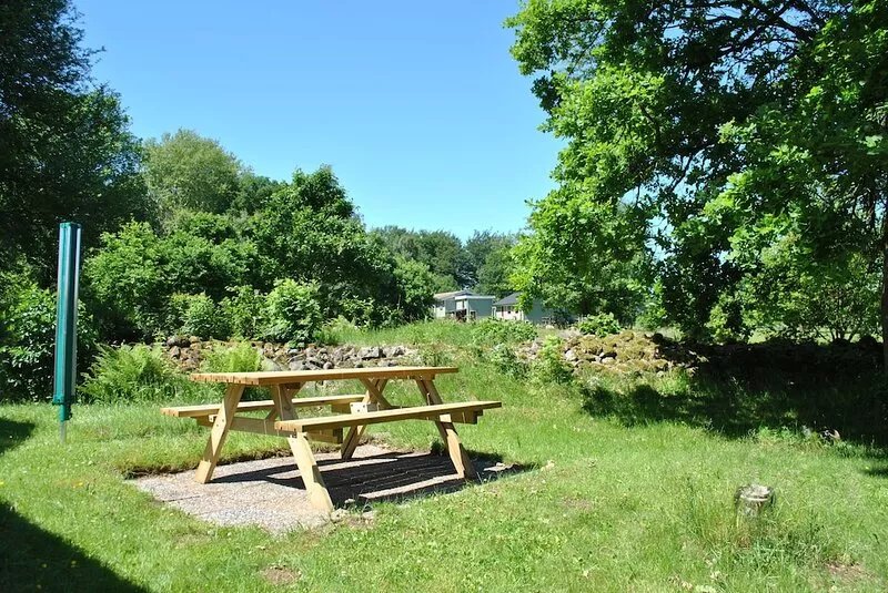 Wooden house sauna and internet on beautiful nature plot