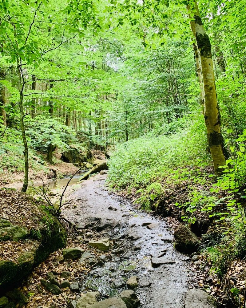 Tailor's Trail Gîte D'adventure Beaufort Mullerthal