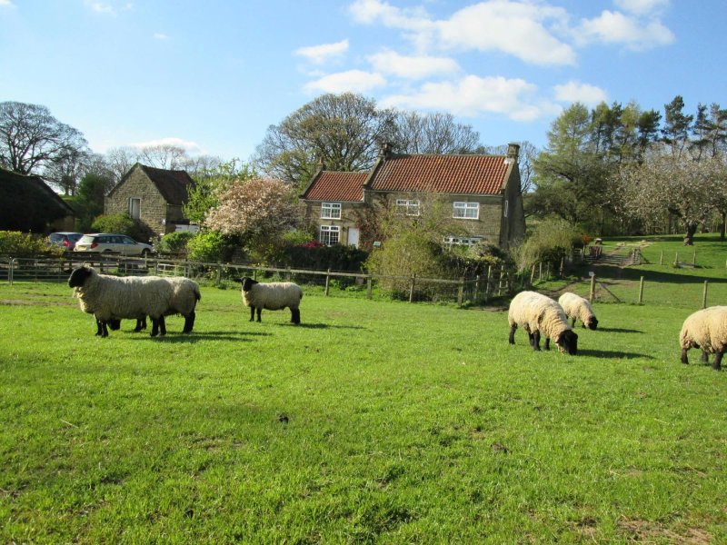 Greystone Farm Bed and Breakfast