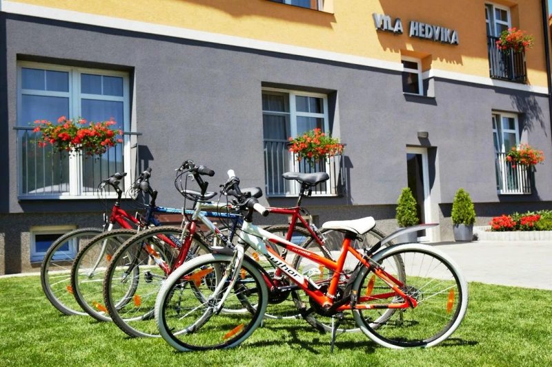 Vila Hedvika