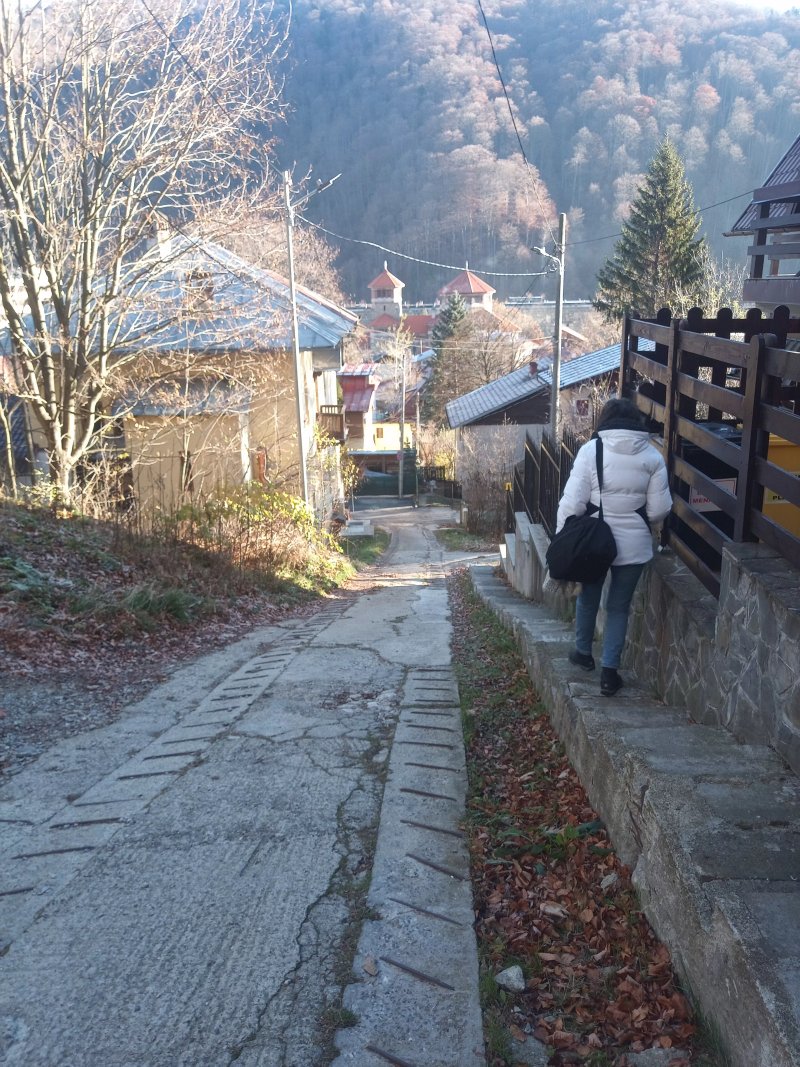 Vila Colt de Rai Sinaia