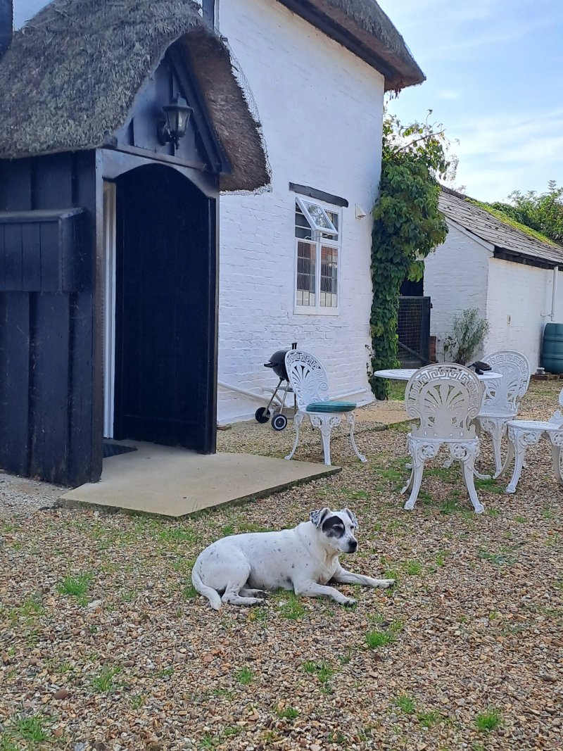 Burgate Farmhouse