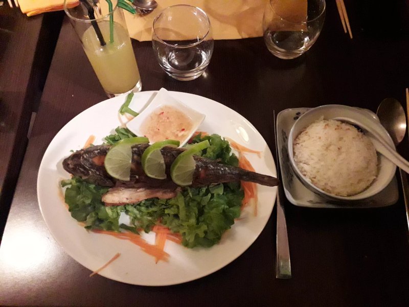 Au Pays du Vietnam