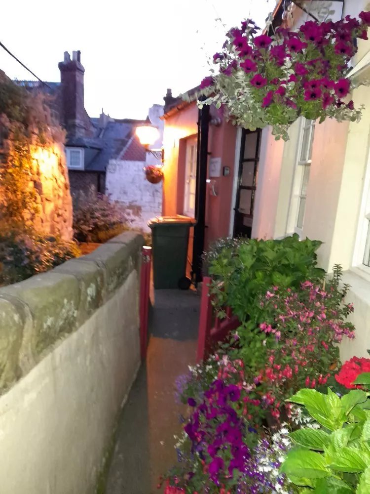 Dotty's Coastal Retreat B&B