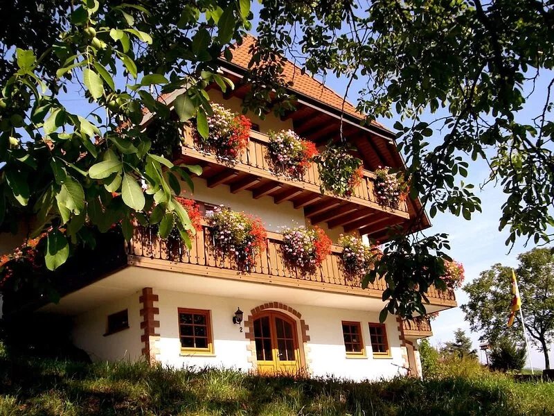 Apartment in a fantastic location near Europapark