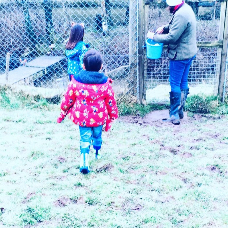 Poltarrow Farm