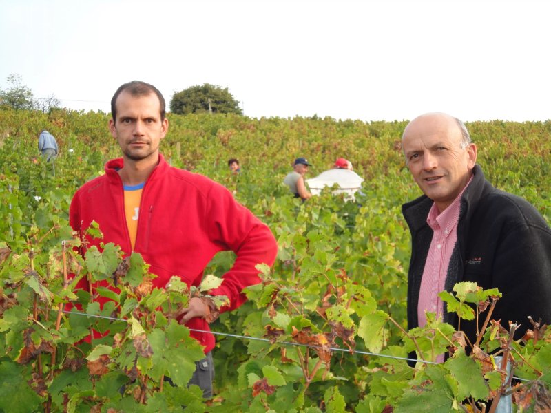 Domaine Lagneau Gerard et Didier (Vignoble, gite & chambre d'hote