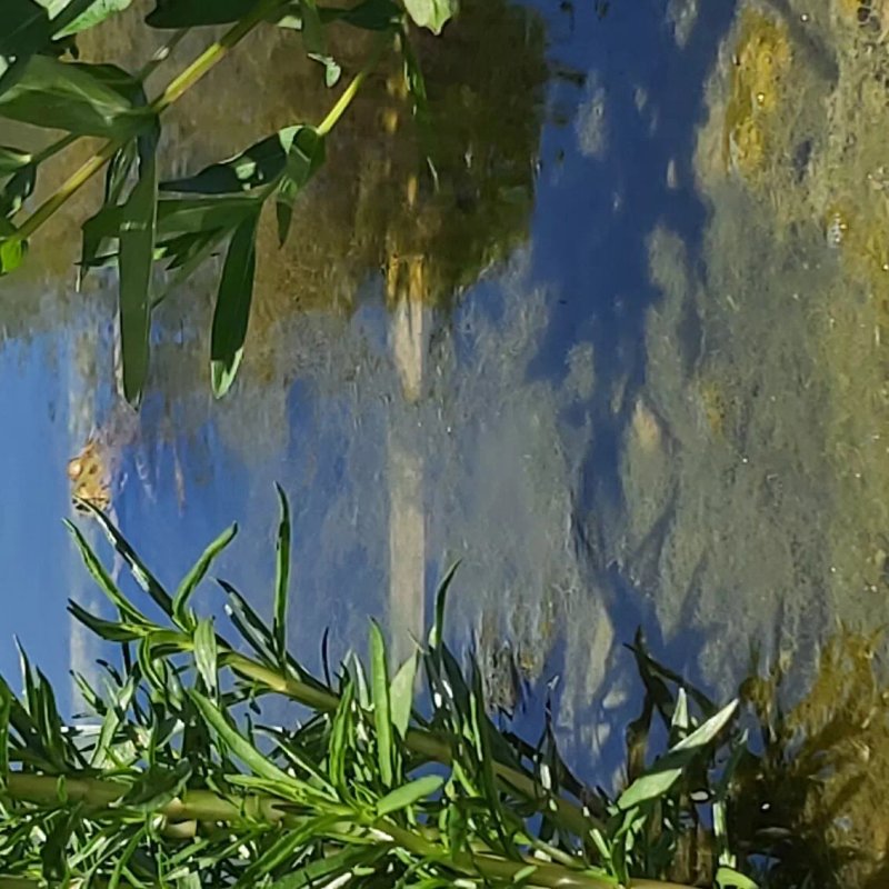 Moulin D Hauterive