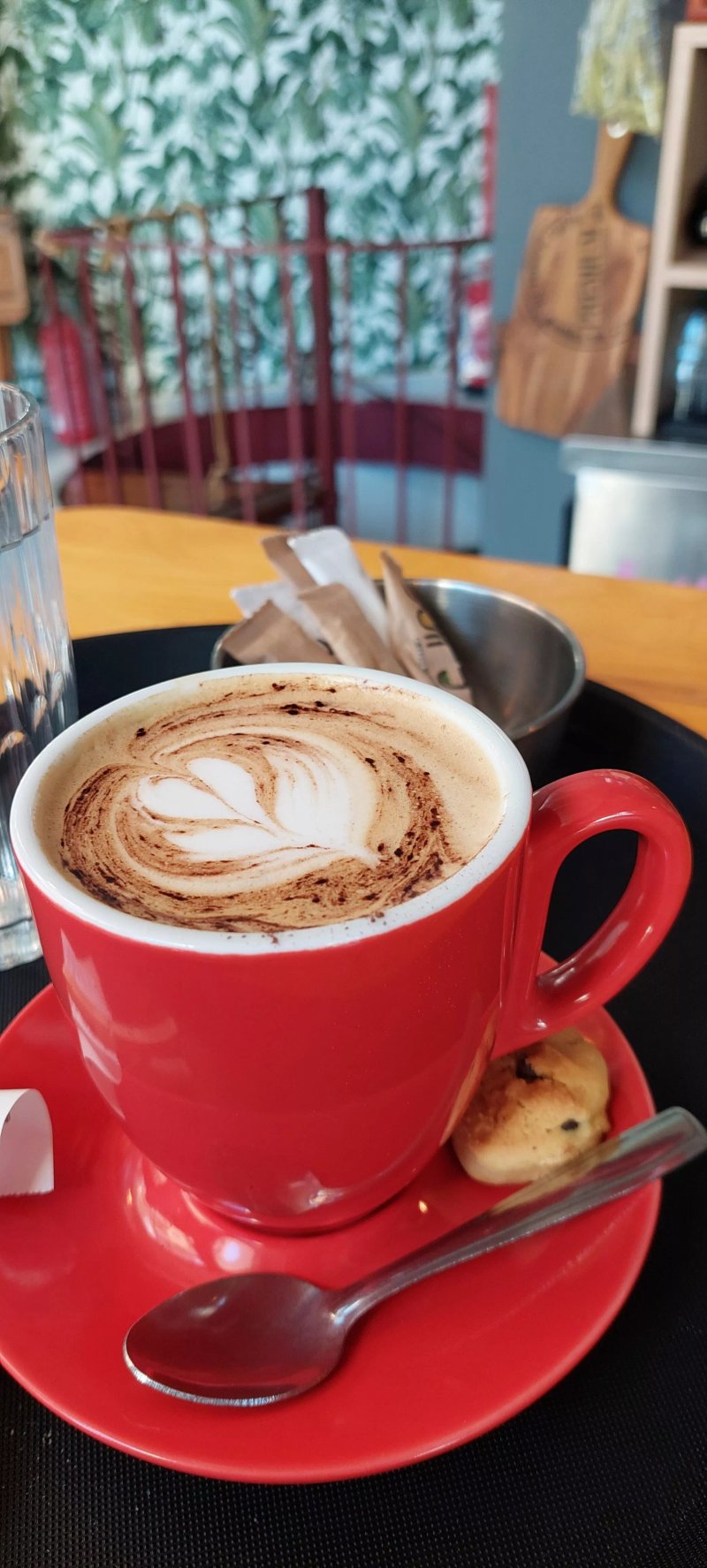 Fifty Gastrocafe