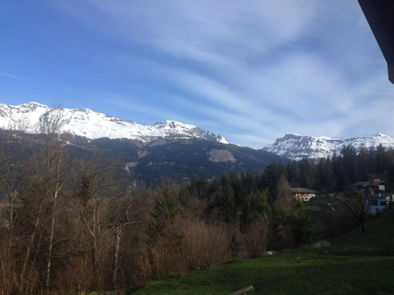 Chalet des Alpes