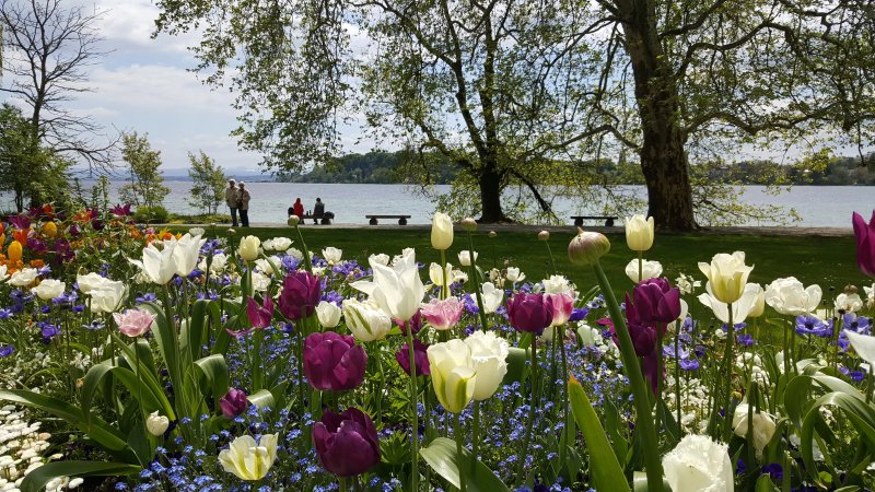 Ferienwohnungen Hirschen Horn | Boardinghouse Bodensee