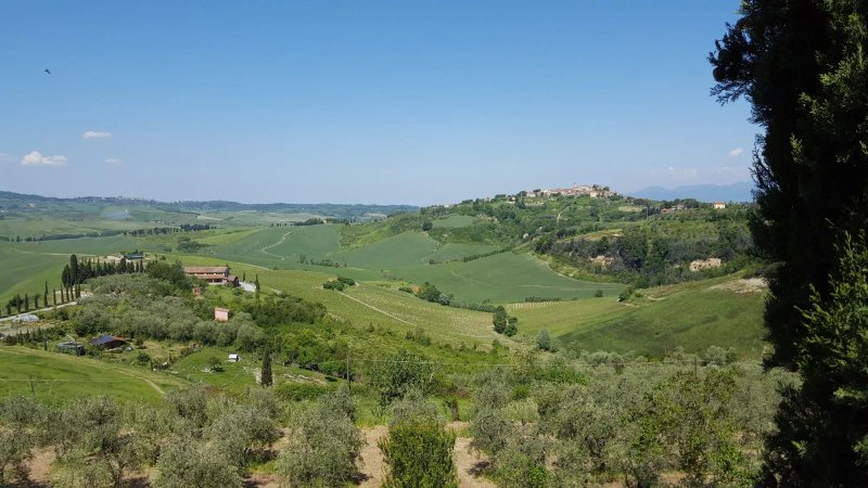 Azienda Agricola Castelvecchio