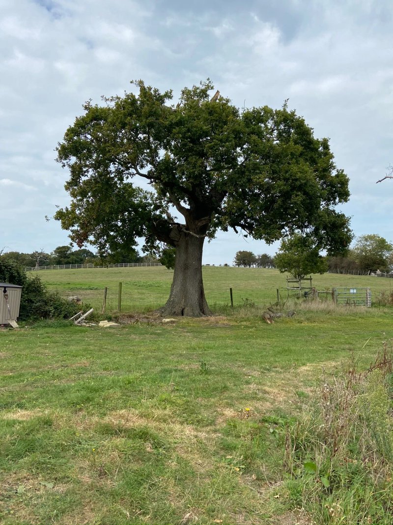 Little Upton Farm