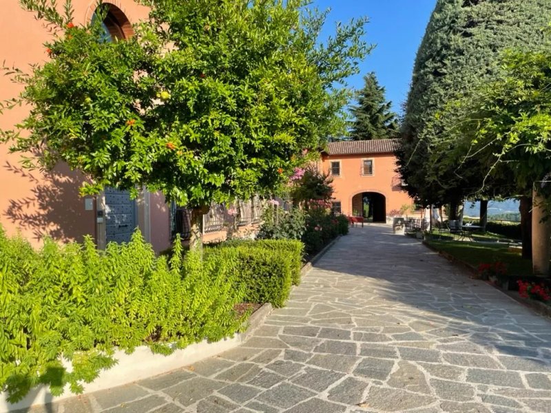 Ristorante "g" di Giarvino