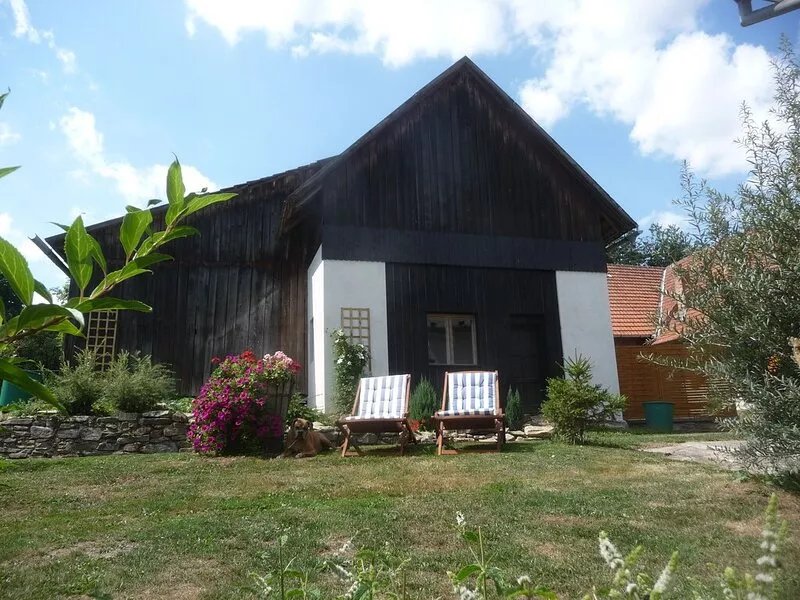 Family friendly farm with saltwater pool and horses