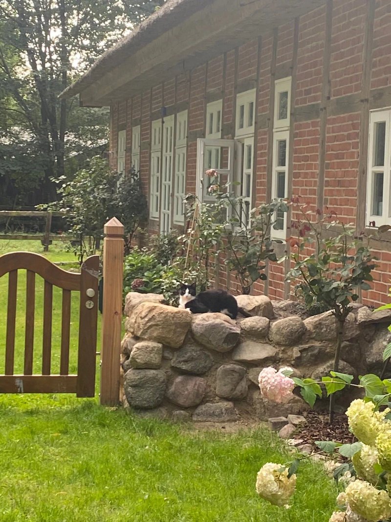 Davidshof, Bed & Breakfast