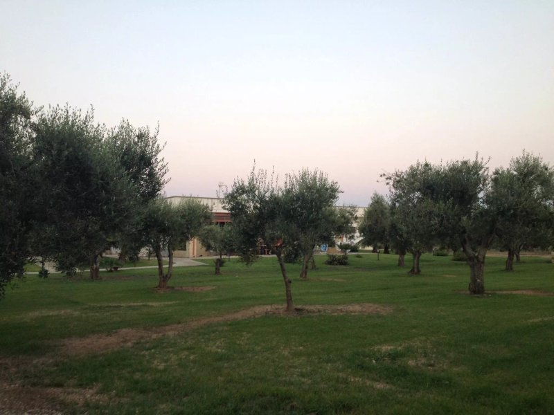 Agriturismo La Casina di Borgagne