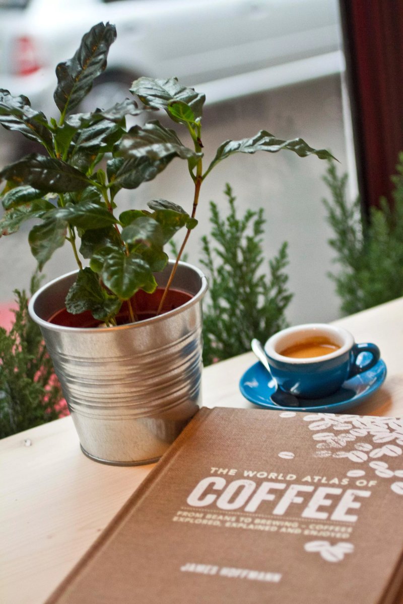 ORYGYNS Specialty Coffee