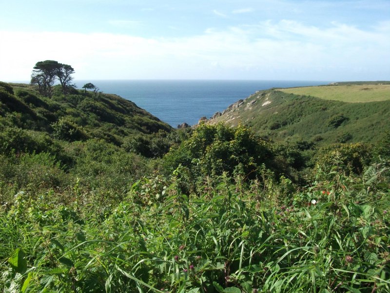 Treverven Farm Camping