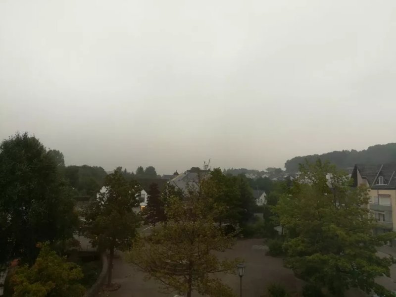 Das Krimihotel