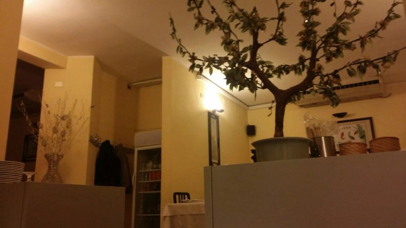Hu Shikan Cinese Oriente
