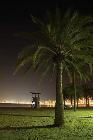Manaus