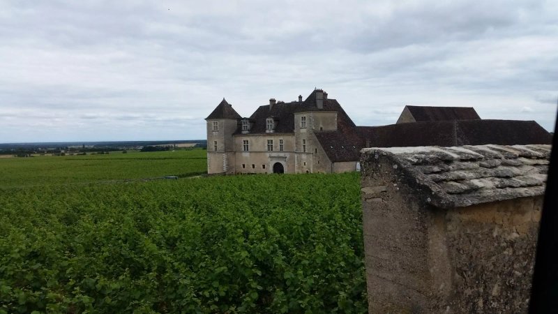 Wine and Voyages