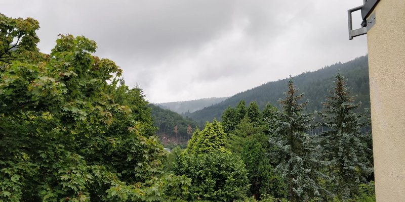 Hotel Zum Neckartal
