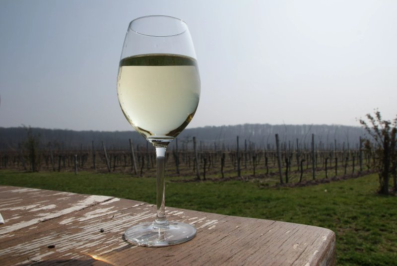 Weinstube Amalienhof