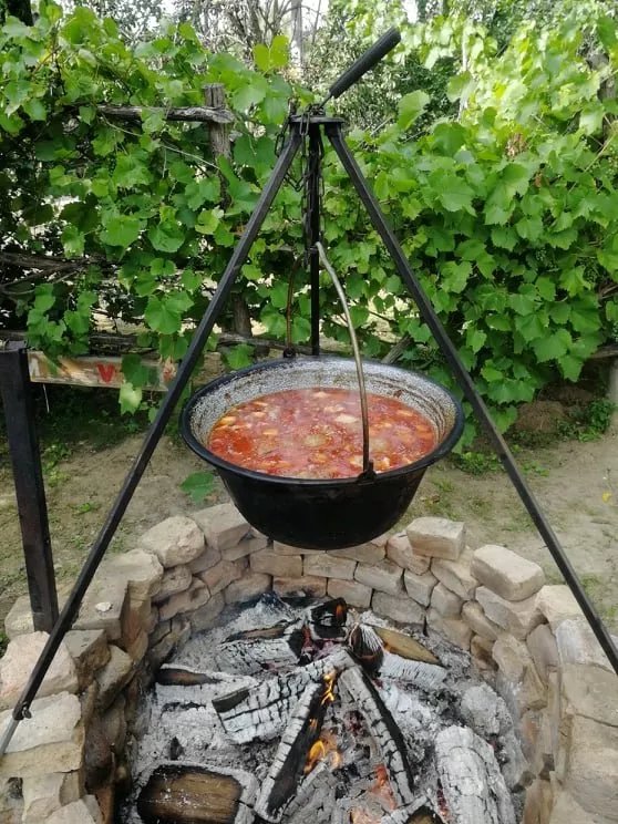 Hungarian Country Camping