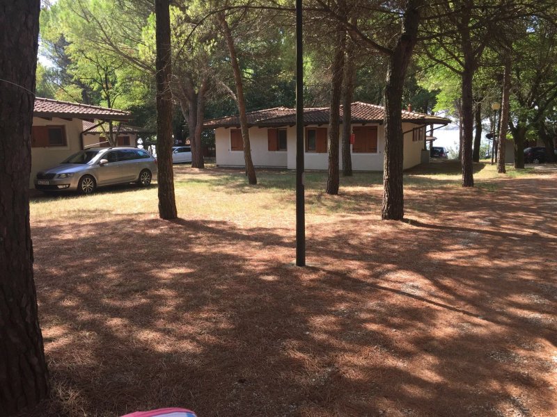 Belvedere Pineta Camping Village