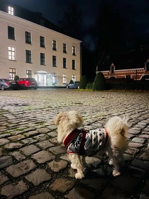 Hotel Kasteel Solhof