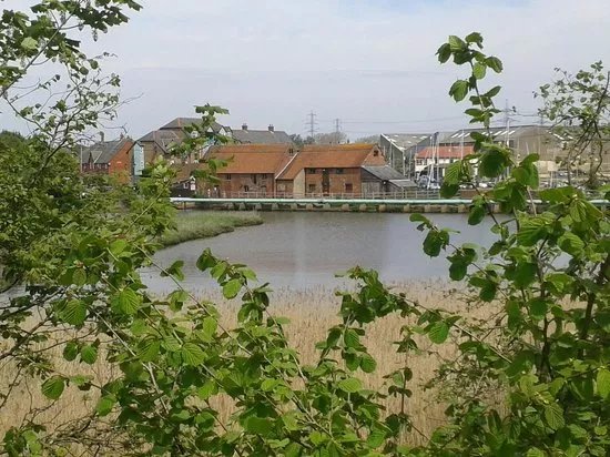 Eling Tide Mill Experience