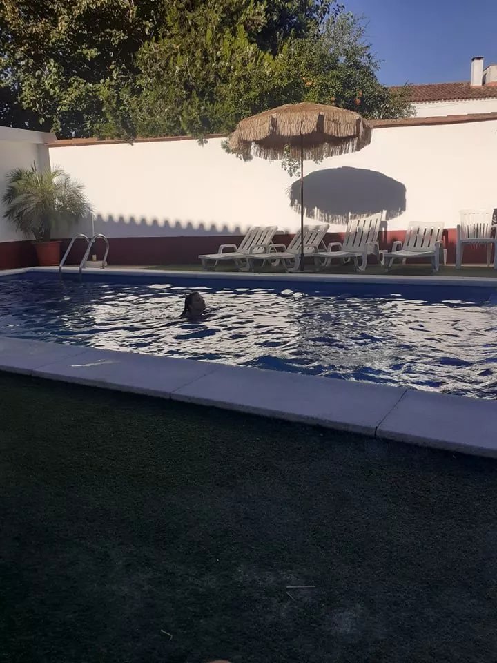 Hotel Solar de Alqueva