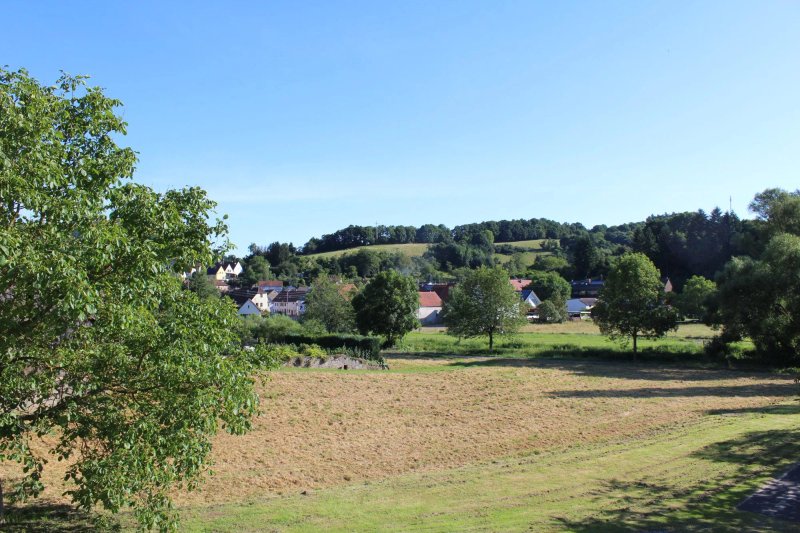 Landgasthaus Zum Steinernen Mann