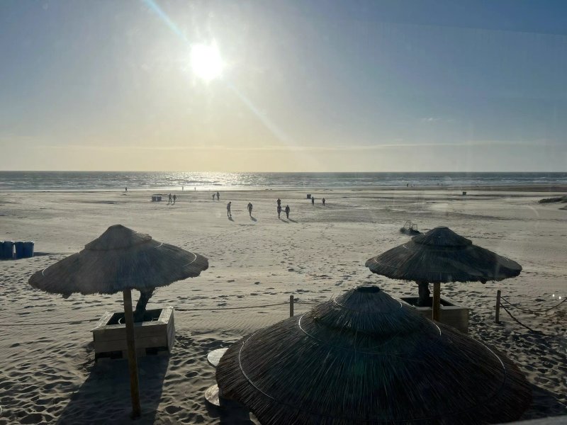 Strandpaviljoen Hargen, Beach Restaurant