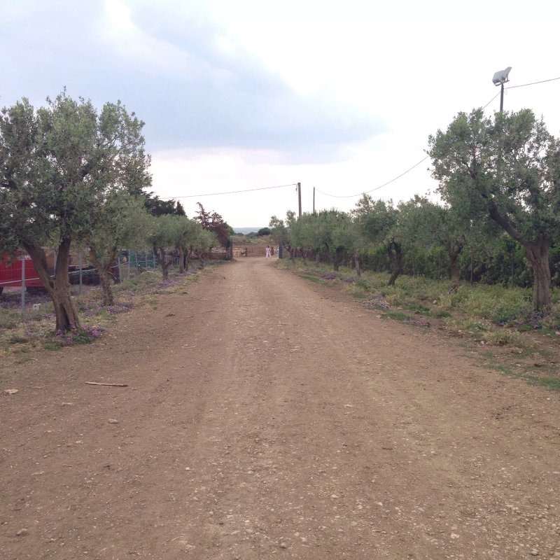 Tenuta Coppa Di Ruvo Di Puglia