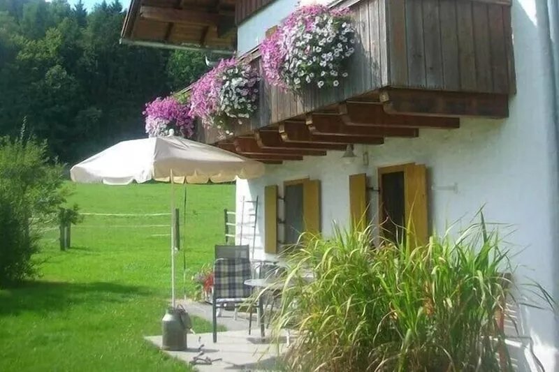 Vacation on a bio-farm with a dog - quiet and relaxation in the Bavarian Forest
