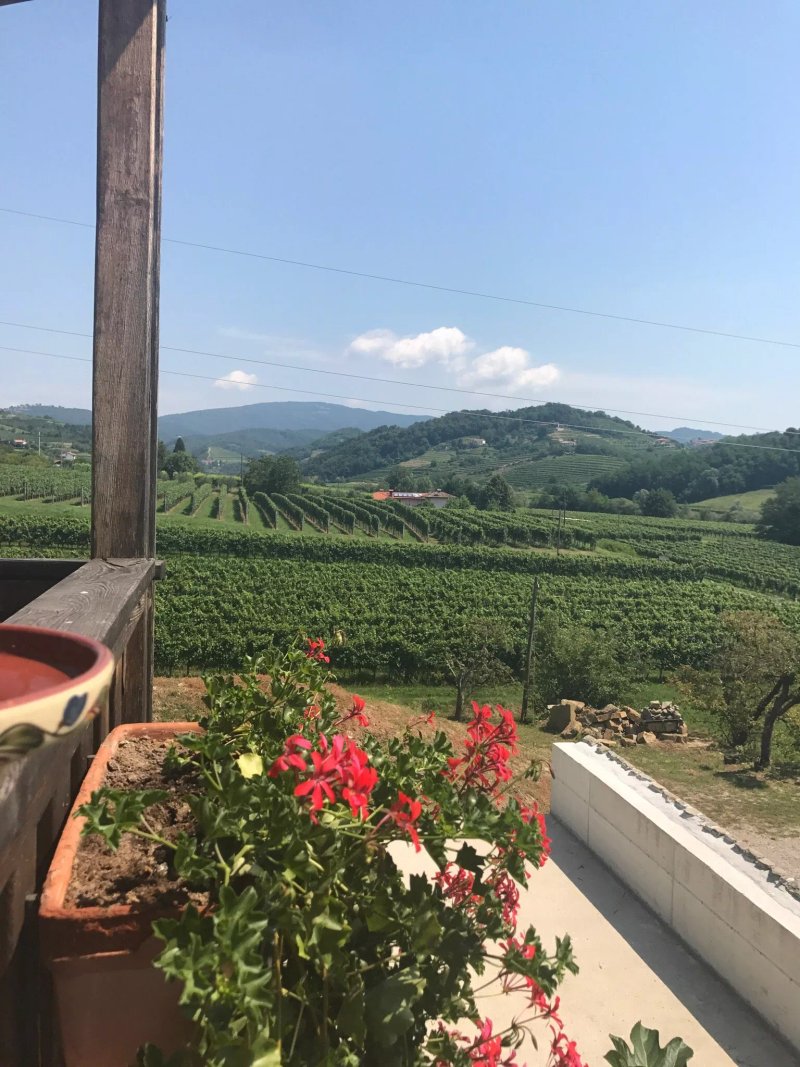 Farm stay Šibav B&B