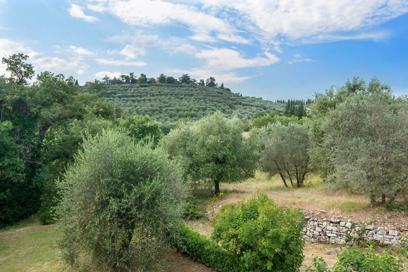 Agriturismo Castello di Montozzi