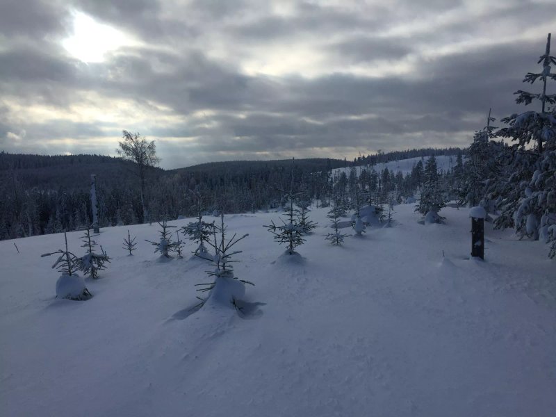 Harsa Hotell, Vandrarhem & Stugby