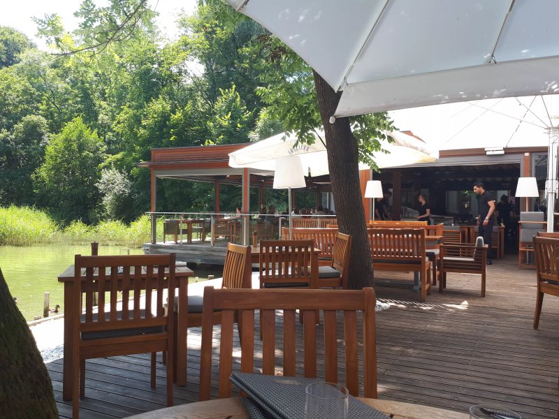 Klee am Hanslteich